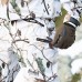 Костюм Alaska Elk Blind Max Snow Camo HD